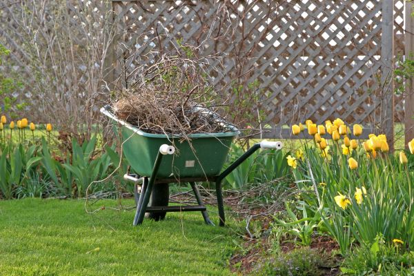 Flower Bed Cleanup Service in Millsboro