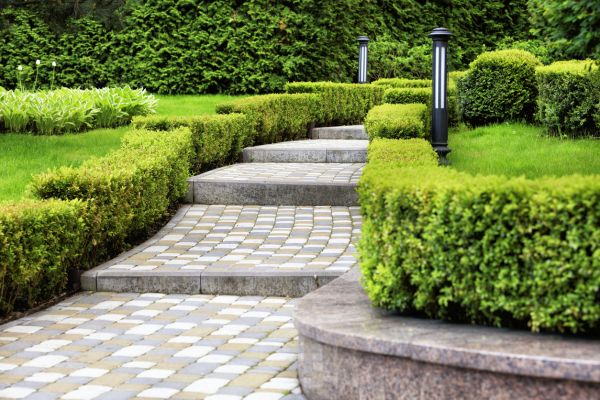 Backyard Remodeling in Millsboro