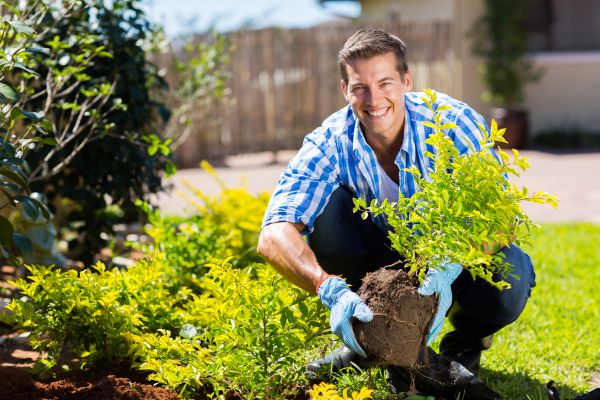 Bush Planting Service in Millsboro