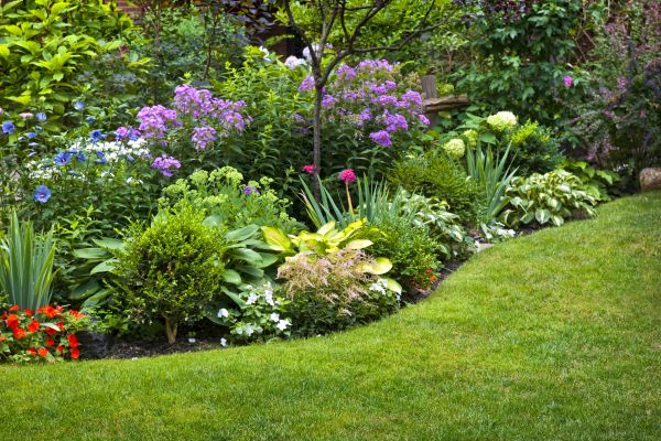 Flower Bed Service in Millsboro