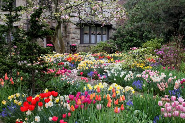 Garden Maintenance Service in Millsboro