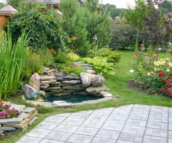 Yard Renovation in Millsboro