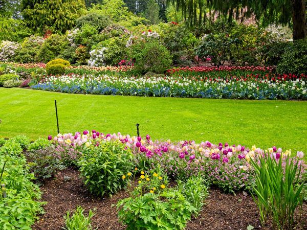 Residential Landscape Design in Millsboro