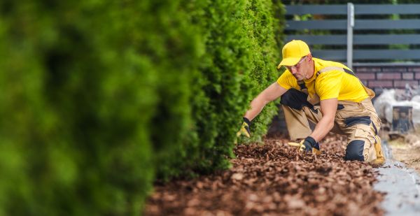 Cypress Mulch Installation in Millsboro