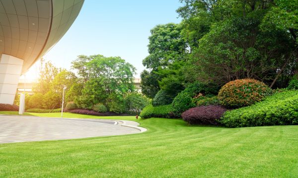Business Landscape Design in Millsboro