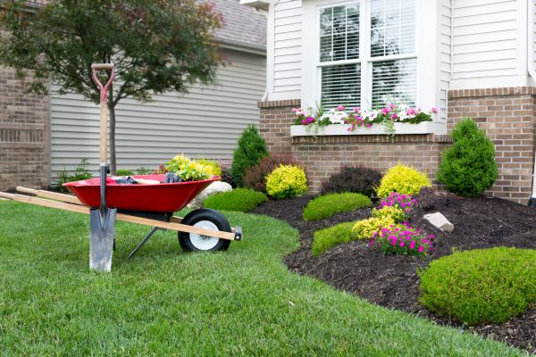 Tree And Shrub Planting in Millsboro