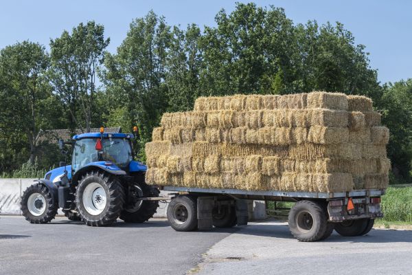 Pine Straw Supplier Service