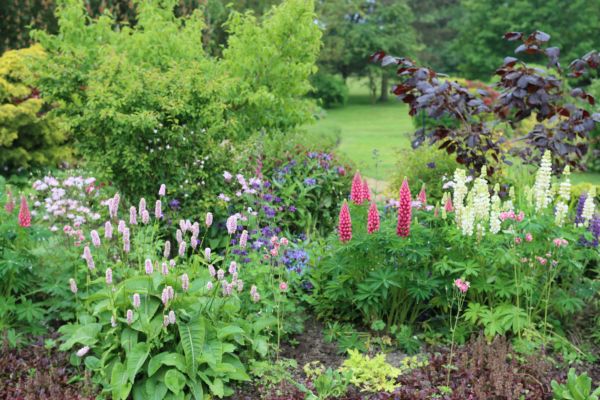 Flower Bed Planting in Millsboro