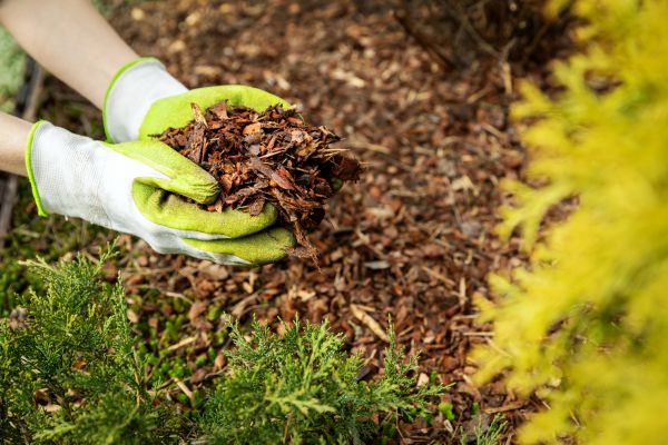 Garden Mulch Delivery in Millsboro