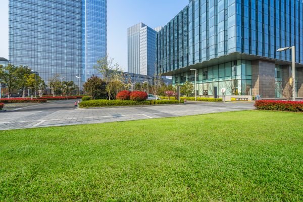 Industrial Landscaping Service in Millsboro