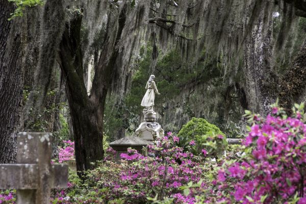 Cemetery Landscaping in Millsboro