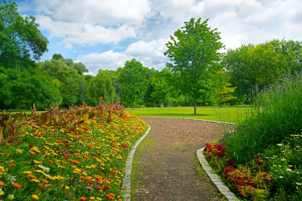 Park Landscaping in Millsboro