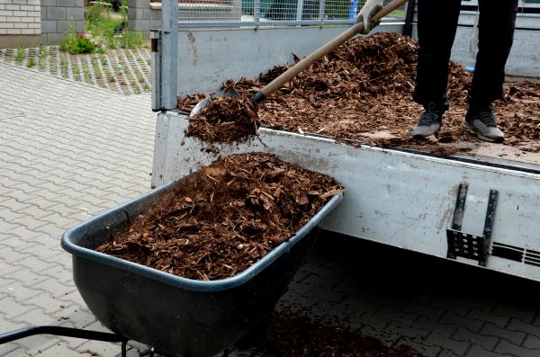 Cypress Mulch Delivery in Millsboro