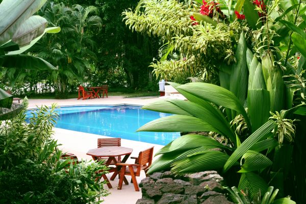 Pool Area Landscaping in Millsboro