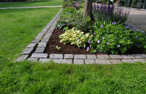 Flower Bed Mulching in Millsboro
