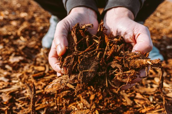 Bark Chips Delivery in Millsboro
