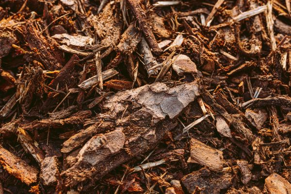 Bark Mulch Delivery in Millsboro
