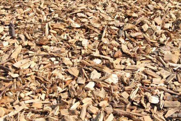 Wood Mulch Delivery in Millsboro