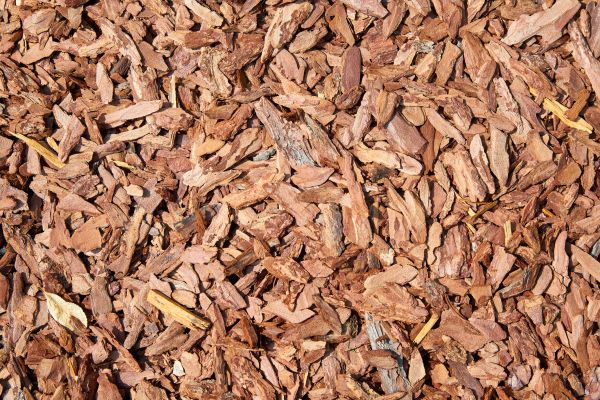 Pine Mulch Delivery in Millsboro