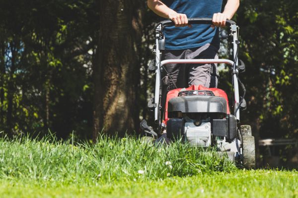 Garden Trimming Service in Millsboro