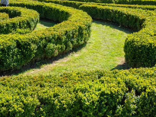 Bush Landscaping in Millsboro