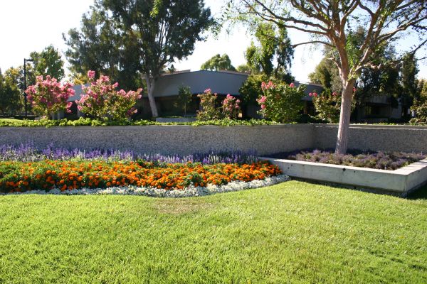Commercial Landscape Service in Millsboro