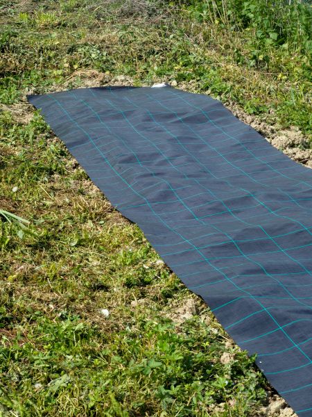 Weed Suppressant Installation in Millsboro