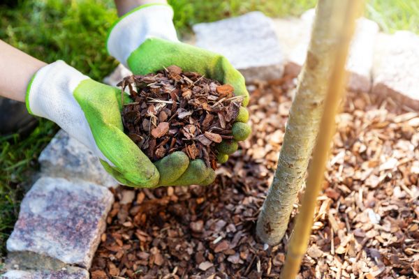 Tree Bark Delivery in Millsboro