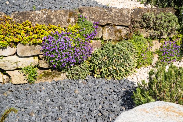 Landscaping Rocks Installation in Millsboro
