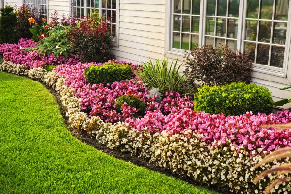 Garden Landscape Design in Millsboro