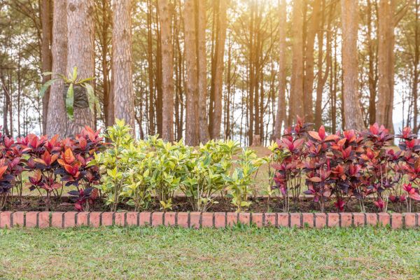Small Garden Landscaping in Millsboro