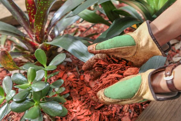 Residential Mulching in Millsboro