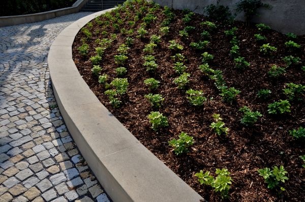 Commercial Mulching in Millsboro