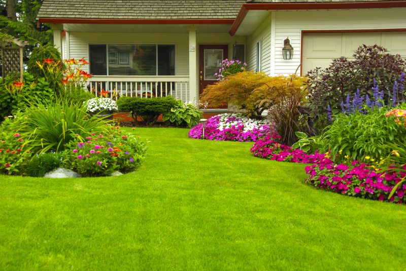 Landscaped Yard